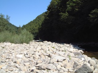  Image name: fiume4.jpg 
 width: 320 pixel 
 height: 240 pixel 
 Size: 24718 bytes 
 Click to enlarge 